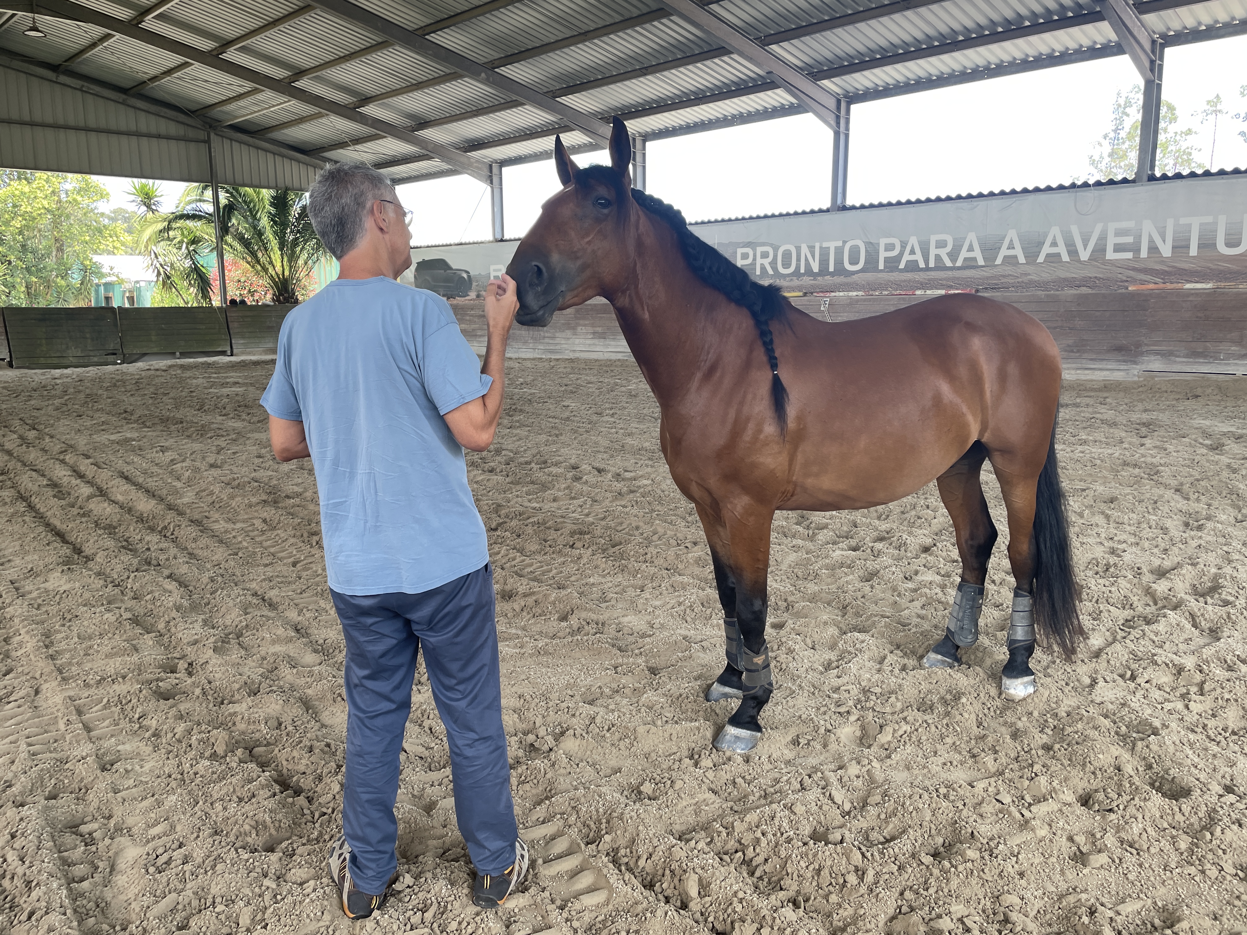 Horse-assisted learning