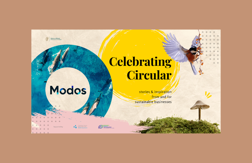 celebrating circular